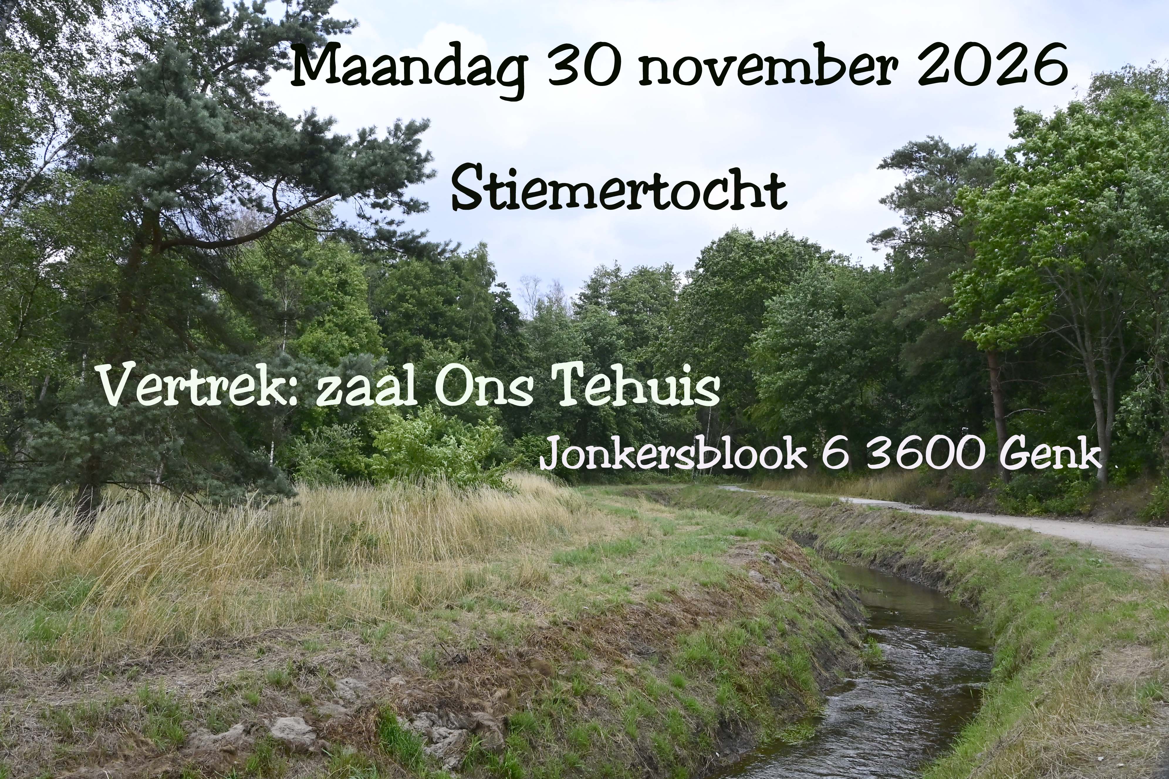stiemer